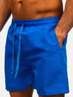 ВОЛОШКОВИЙ