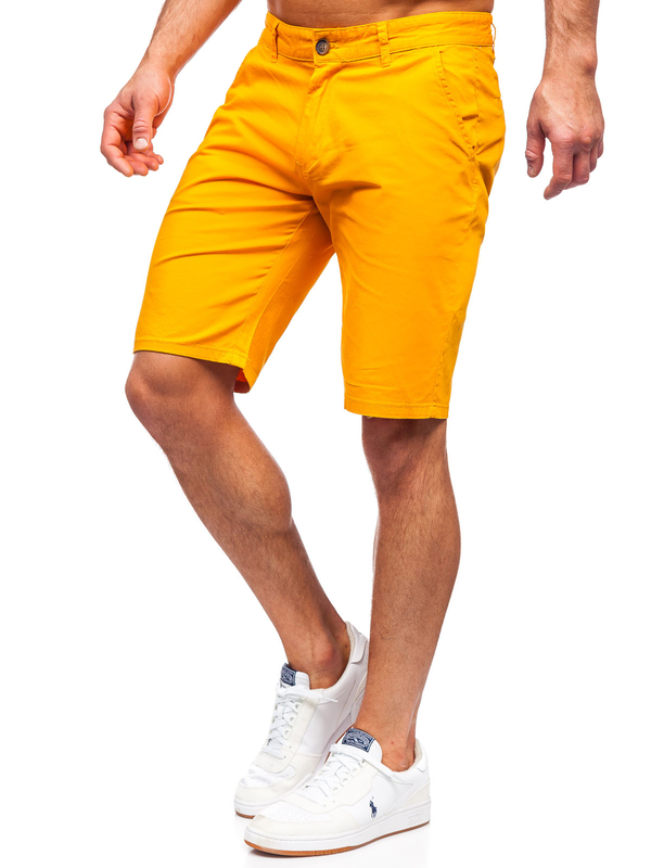 Кемел чоловічі шорти Bolf 1140